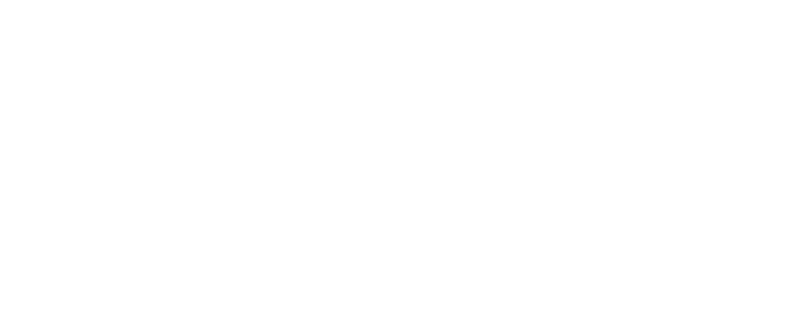 SIVETZ - The Original Fluid Bed Roaster